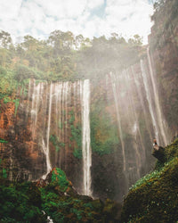 Exploring the wild island of Java